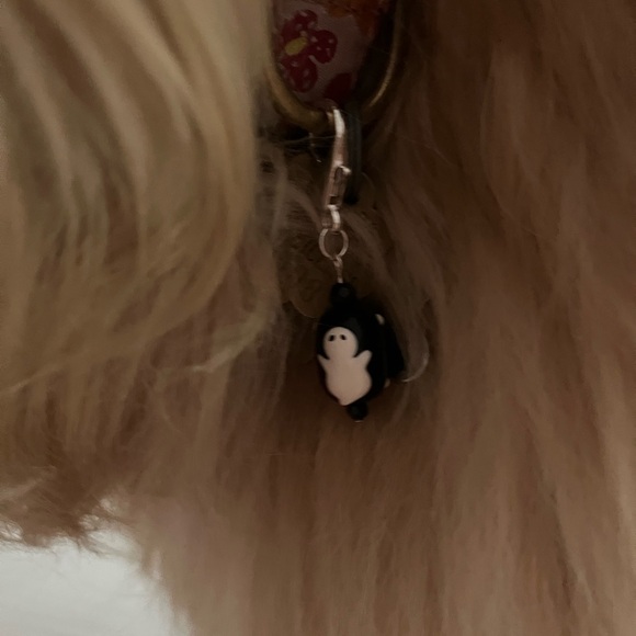 🎃Halloween/Fall pet charm - Picture 4 of 6